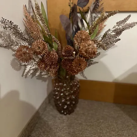 Cozy In Life 반스코
