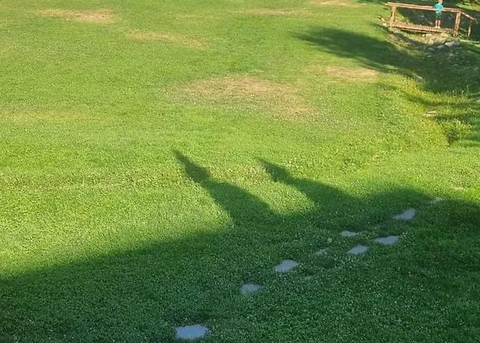 Cozy In Life Apartment *